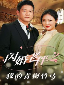 电影：闪婚老伴之我的青梅竹马