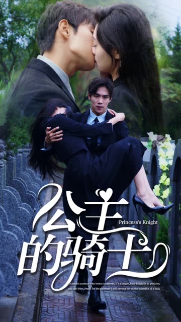 电影：公主的骑士