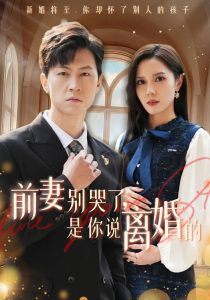 电影：前妻别哭了是你说离婚的