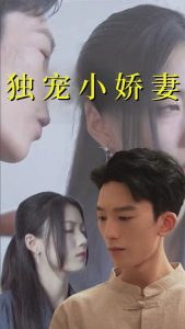 电影：独宠小娇妻