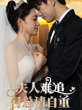 电影：夫人难追，付总请自重