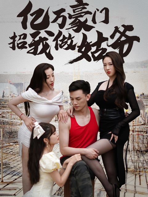 电影：亿万豪门招我做姑爷