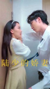 电影：陆少的娇妻