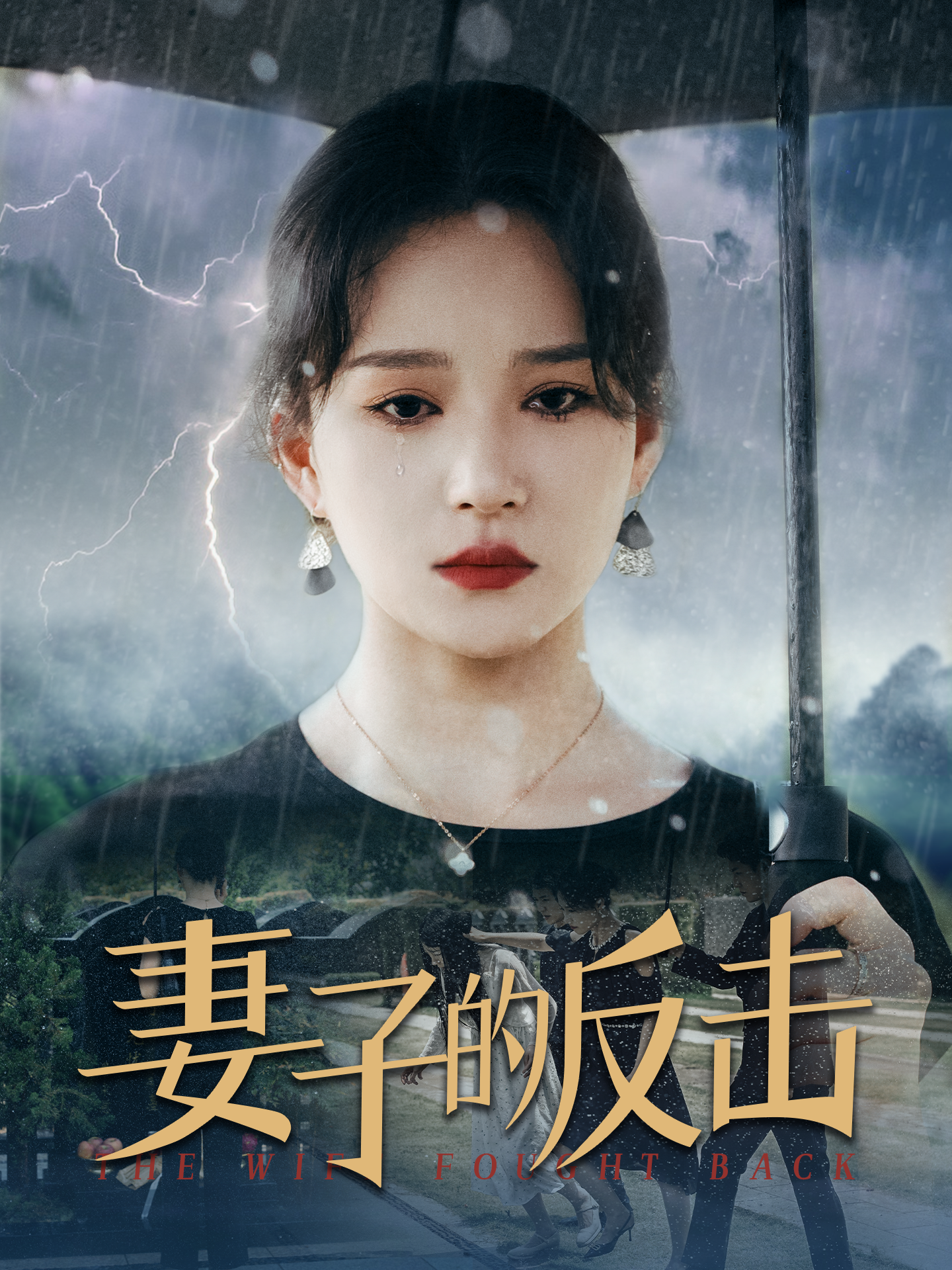 电影：妻子的反击2024