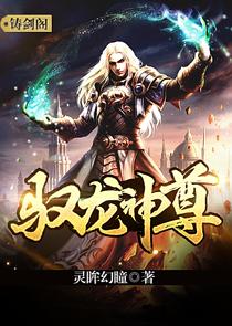 电影：驭龙神尊