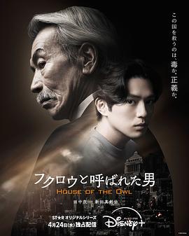 电影：黑幕风云2024