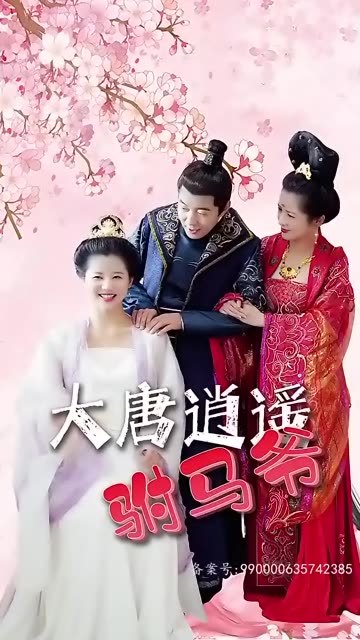 电影：大唐逍遥驸马爷