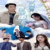 电影：结婚当天新郎重生了(结婚一百零一次)