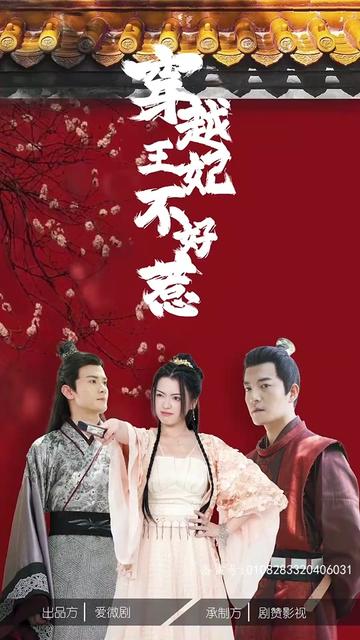 电影：穿越王妃不好惹