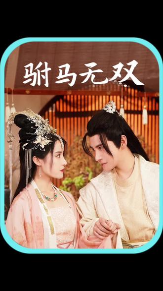 电影：驸马无双