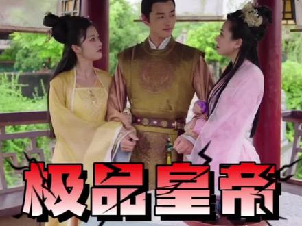 电影：极品皇帝
