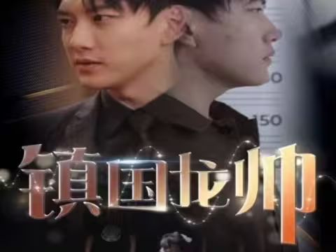 电影：新版：镇国龙帅