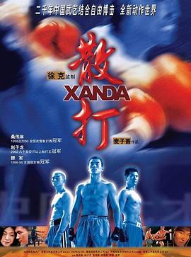 电影：散打