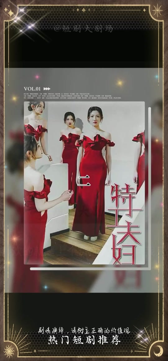 电影：特工夫妇