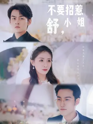 电影：不要招惹舒小姐