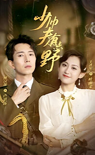 电影：少帅夫人有点野