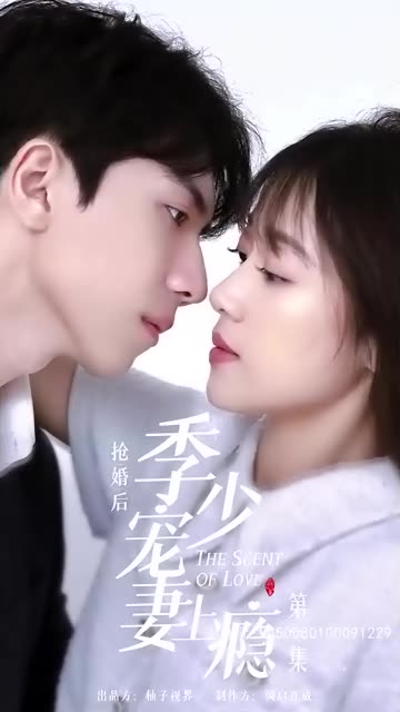电影：抢婚后，季少宠妻上瘾