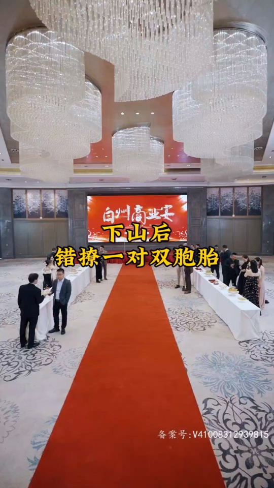 电影：下山后，错撩一对双胞胎