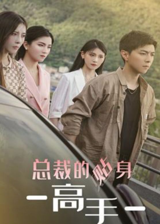 电影：新：女总裁的贴身高手