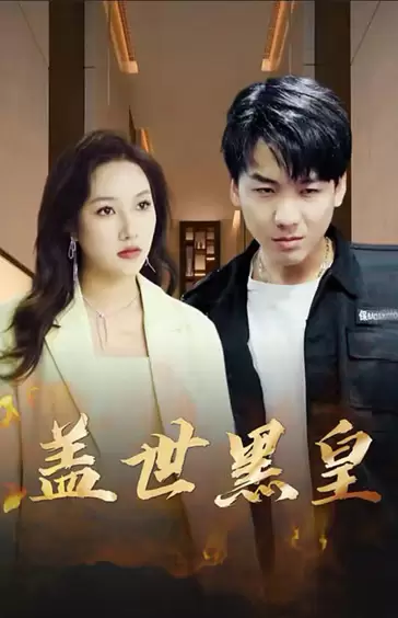 电影：盖世黑皇