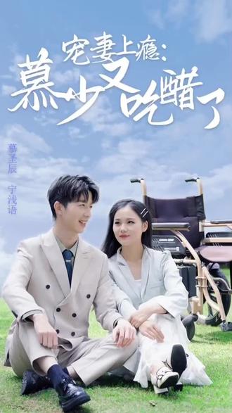 电影：宠妻上瘾：慕少又吃醋了