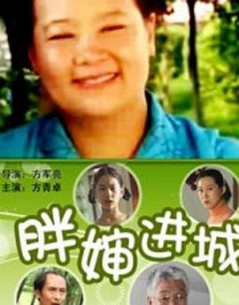 电影:胖婶进城