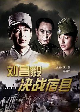 电影：刘昌毅决战宿县