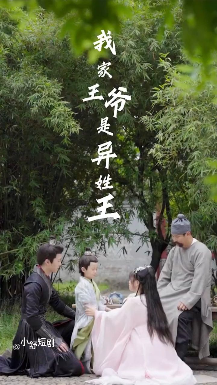 电影：我家王爷是异性王