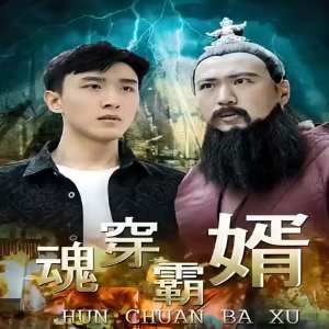 电影：魂穿霸婿