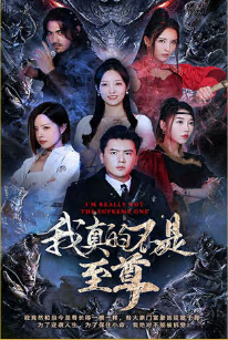 电影：我真的不是至尊