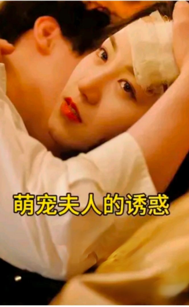 电影：萌宠夫人的诱惑