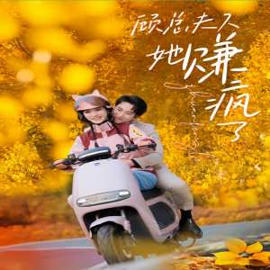 电影：顾总夫人她赚疯了