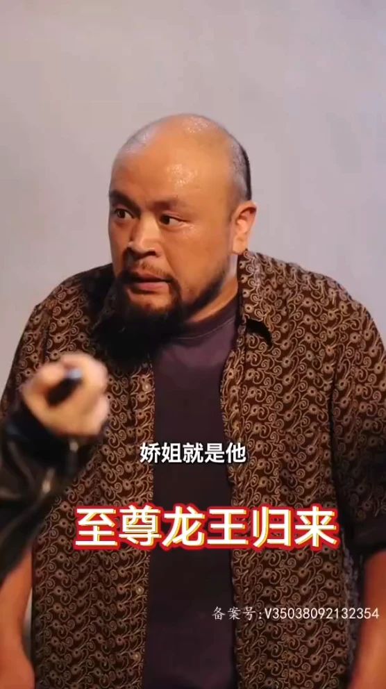电影：至尊龙王归来