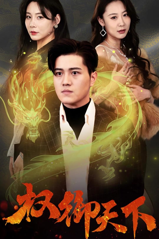 电影：权御天下