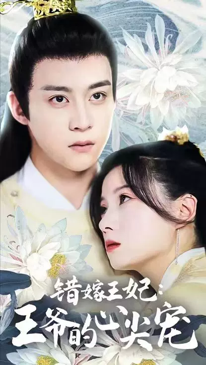 电影：错嫁王妃王爷的心尖宠