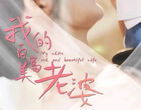 电影：我的25岁白富美老婆