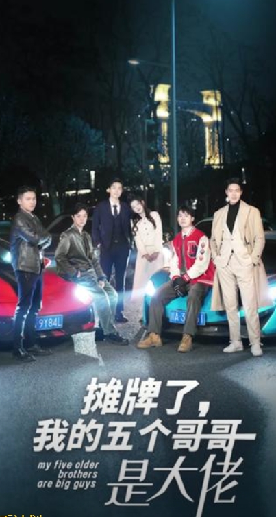 电影：摊牌了我的五个哥哥是大佬