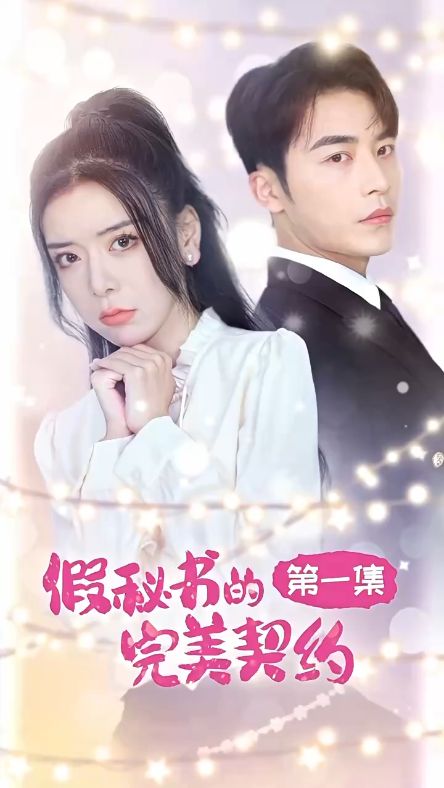 电影：假秘书的完美契约
