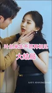 电影：叶总来生不愿再相见