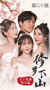电影：修罗下山三个老婆别太猛