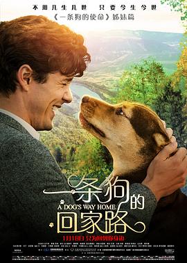 电影：一条狗的回家路国语