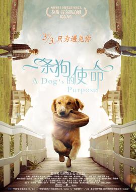 电影：一条狗的使命国语