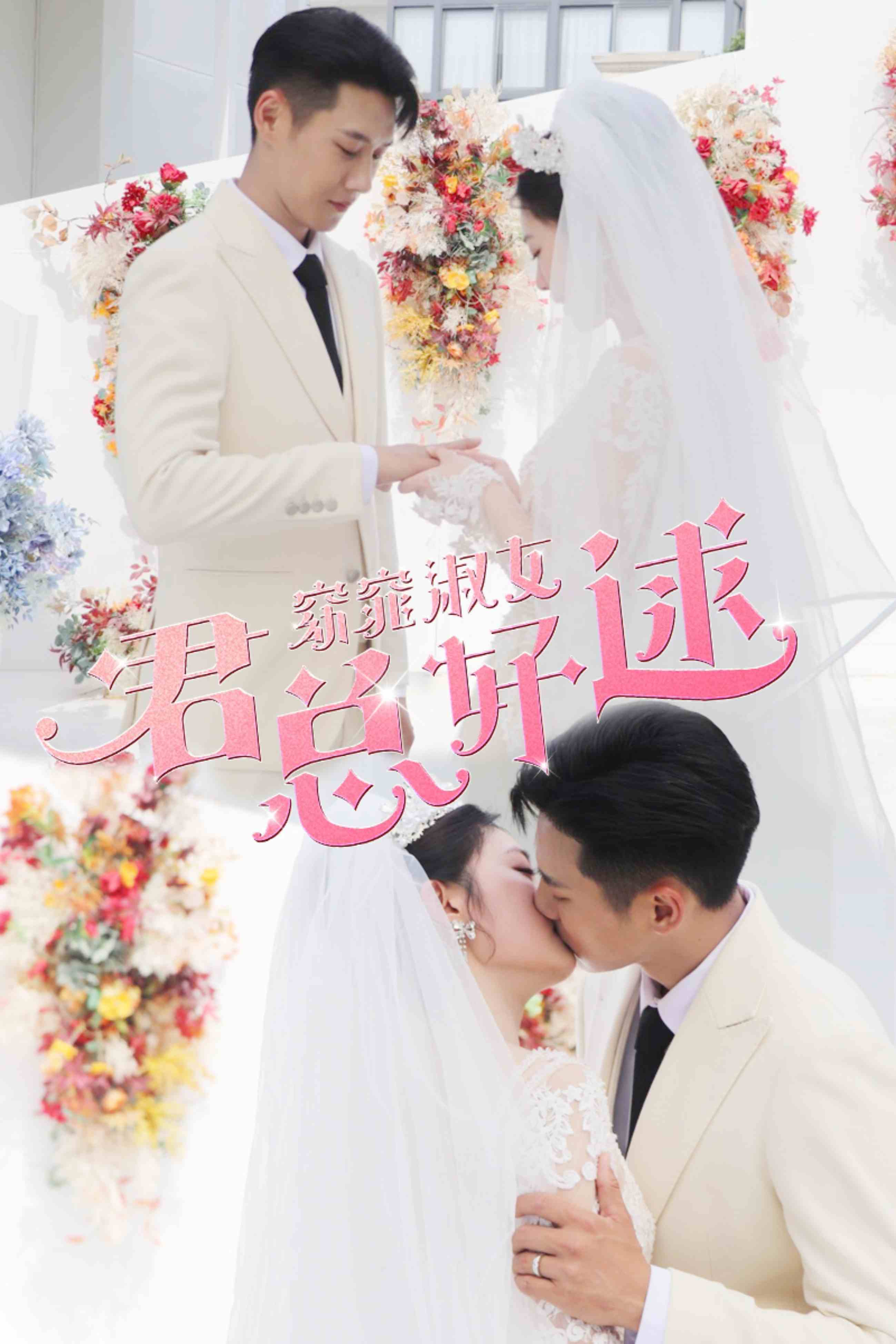 电影：窈窕淑女，君总好逑