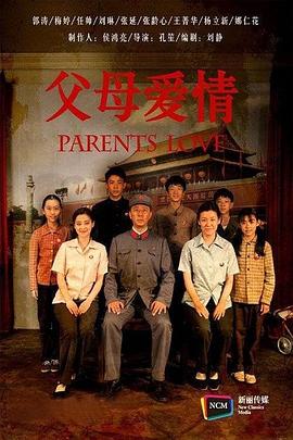 电影:父母爱情2014