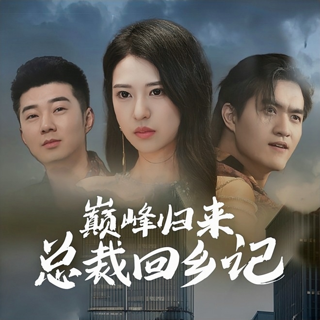 电影：巅峰归来总裁回乡记