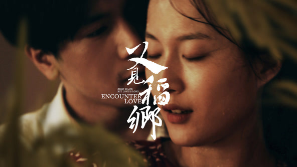 电影：又见稻乡