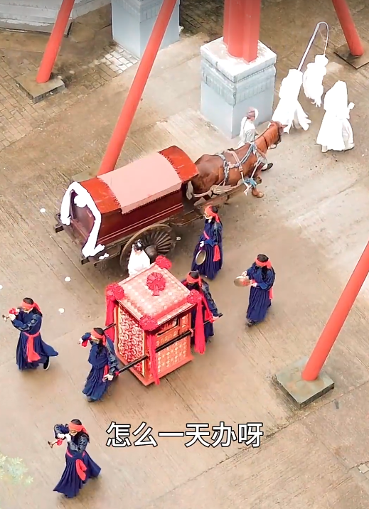 电影：新：王妃她又美又飒103集