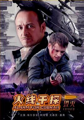 电影：火线干探之毁灭国语