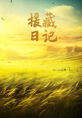 电影:援藏日记