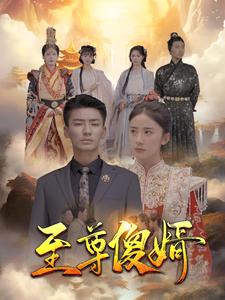 电影：至尊傻婿